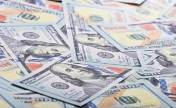 Profitable Online Income Ideas